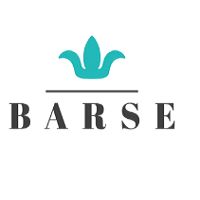 Barse Jewelry