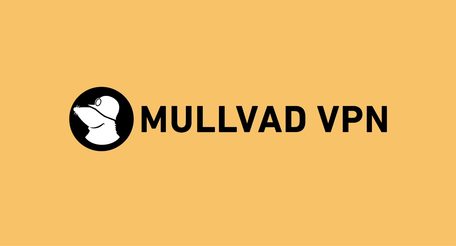mullvad vpn fastest VPN