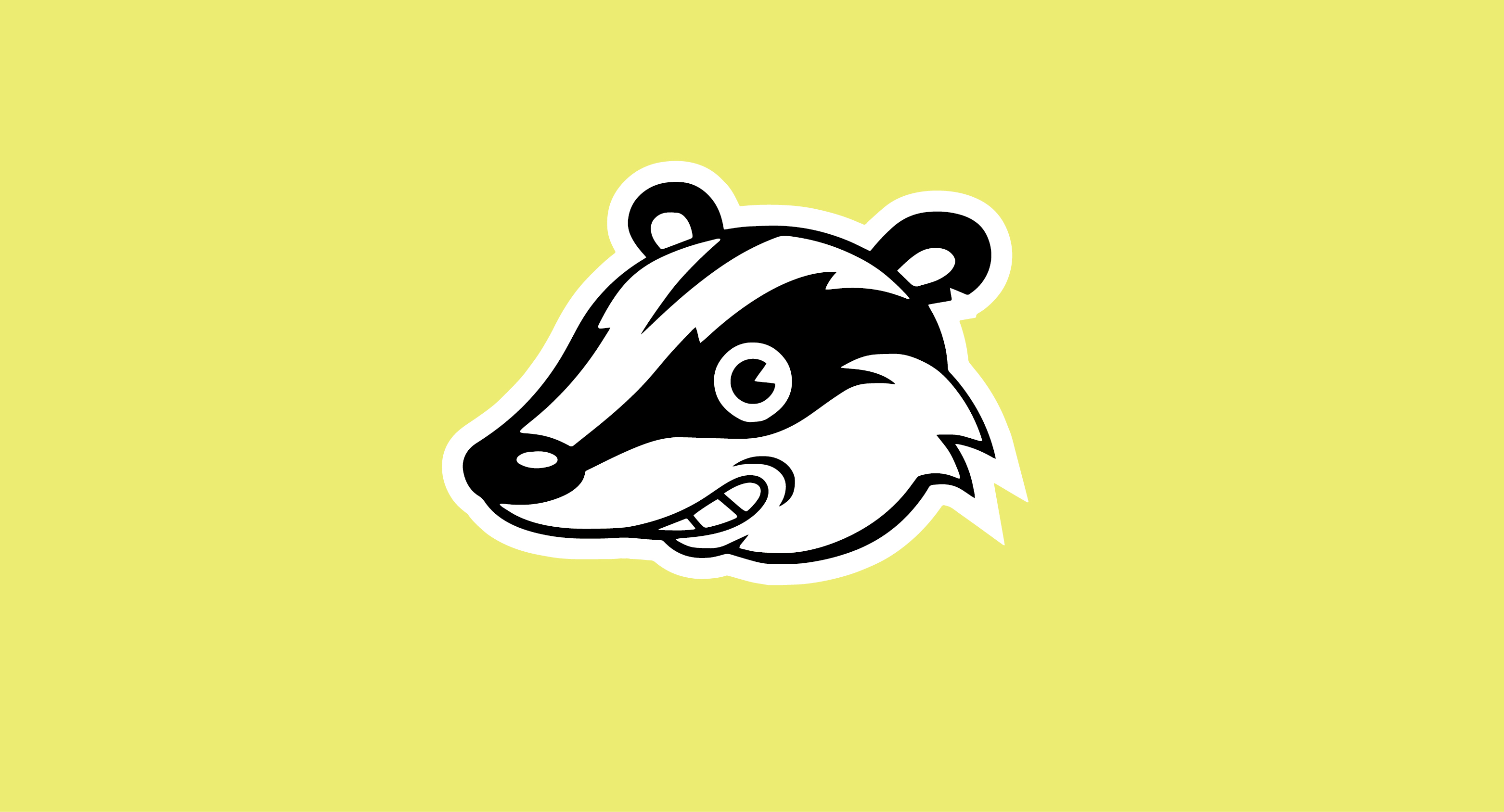 privacy badger Best Ad Blocker