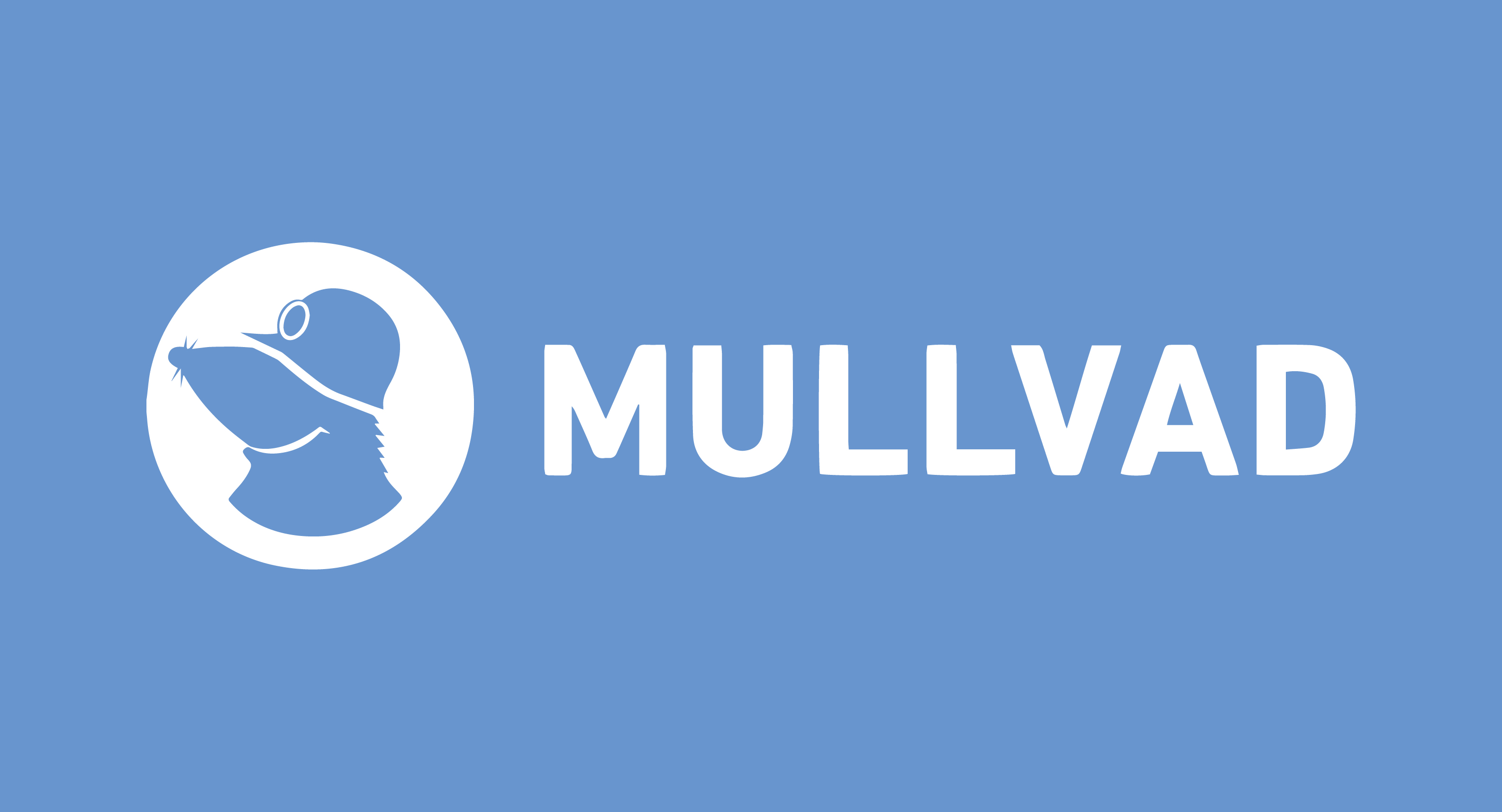 mullvad Best Anti-Tracking Browser